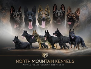 North Mountain Kennels photo
