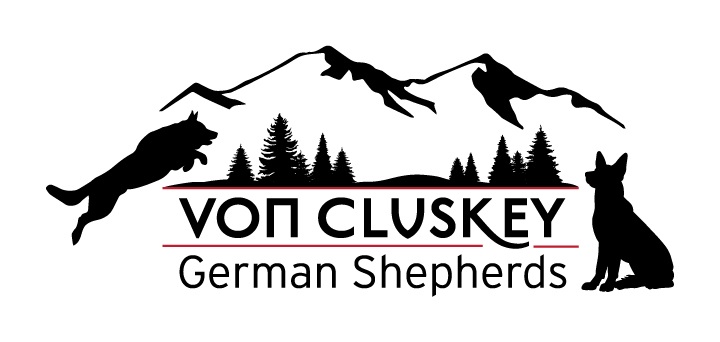 Von Cluskey German Shepherds photo